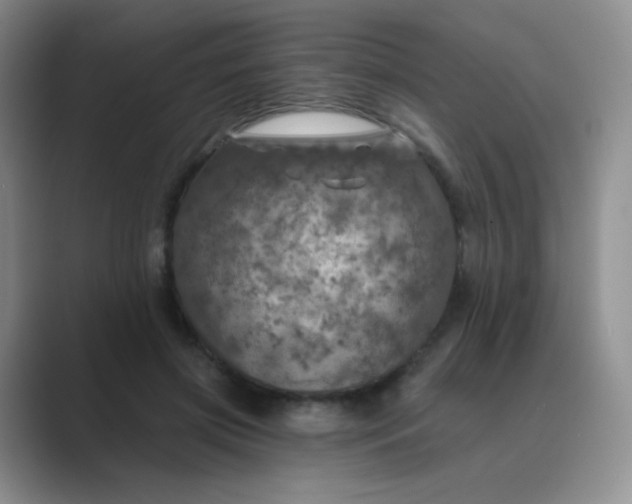 X0000089700549200707051645