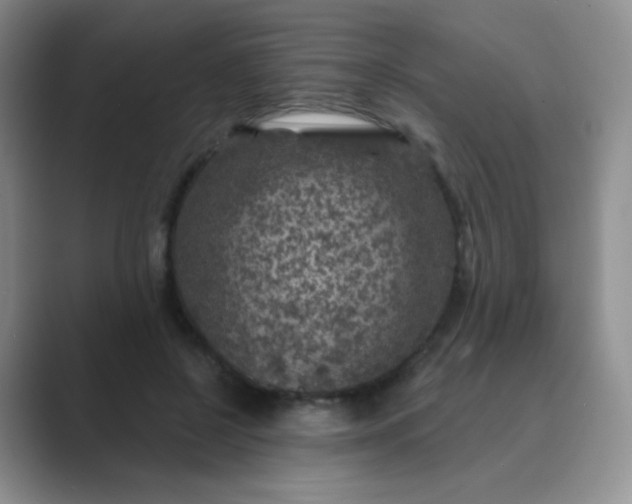 X0000089700550200707051645