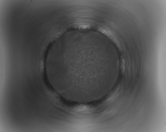 X0000089700551200707051645