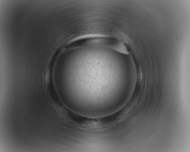 X0000089700552200707051645