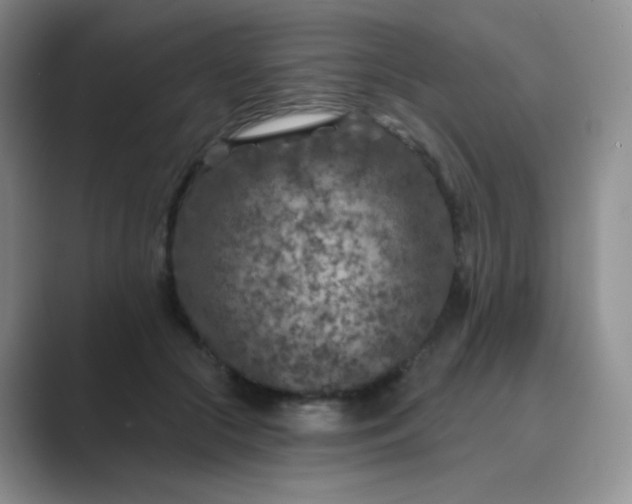 X0000089700553200707051645