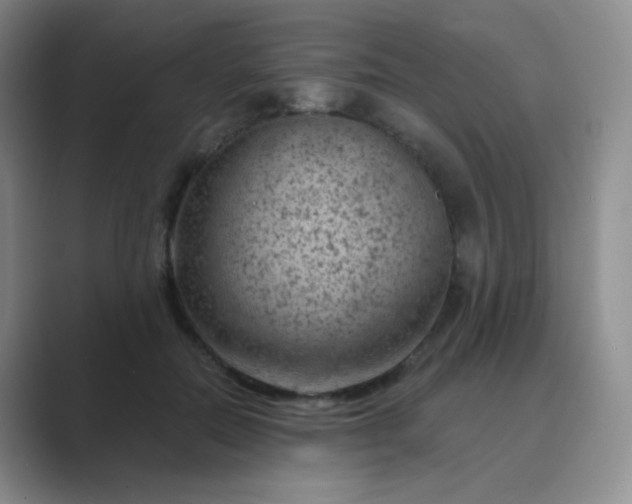 X0000089700554200707051645