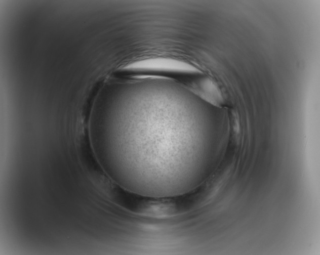 X0000089700555200707051645