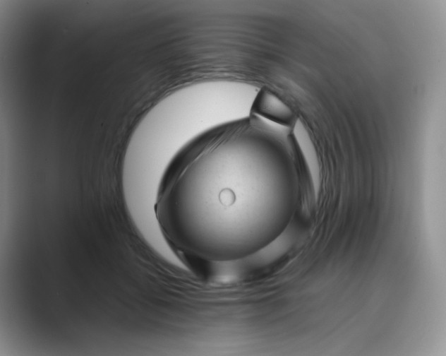 X0000089700556200707051645