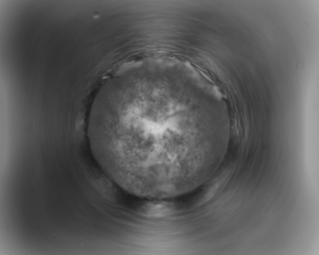 X0000089700557200707051645