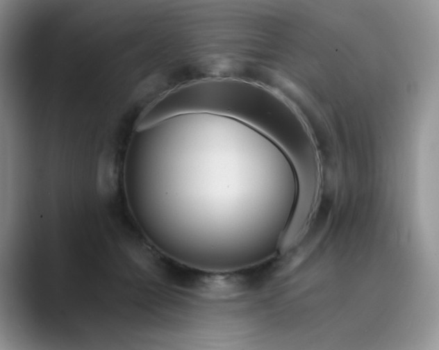 X0000089700558200707051645