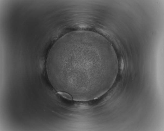 X0000089700559200707051645