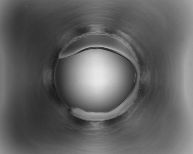 X0000089700560200707051645