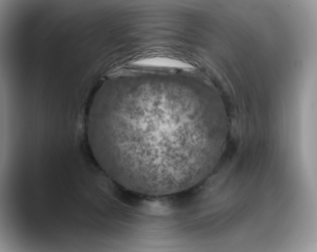 X0000089700561200707051645