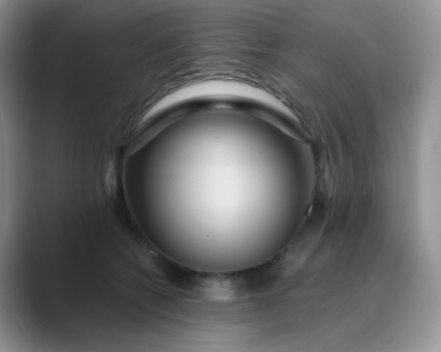 X0000089700562200707051645