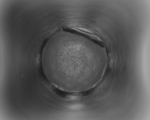 X0000089700563200707051645