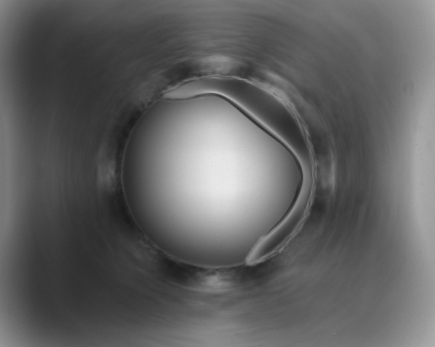 X0000089700564200707051645