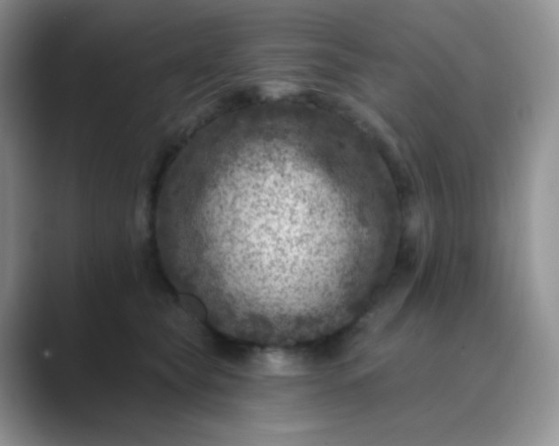 X0000089700565200707051645