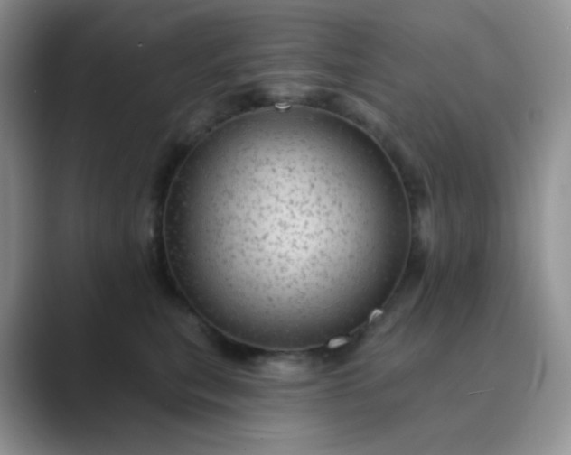 X0000089700567200707051645