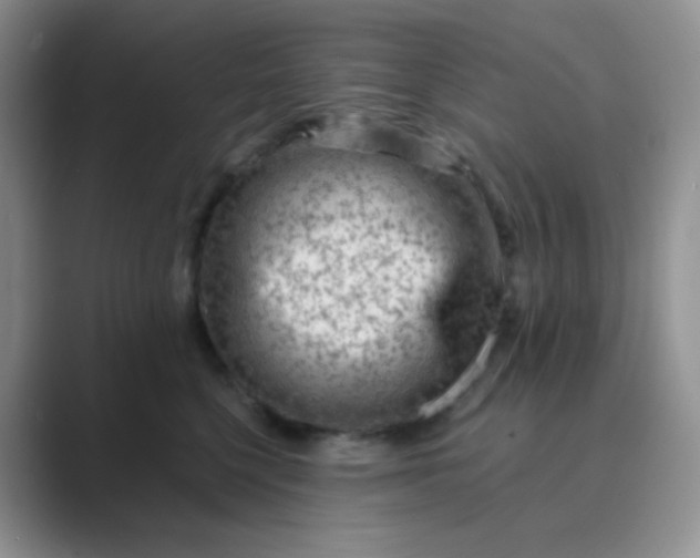 X0000089700568200707051645