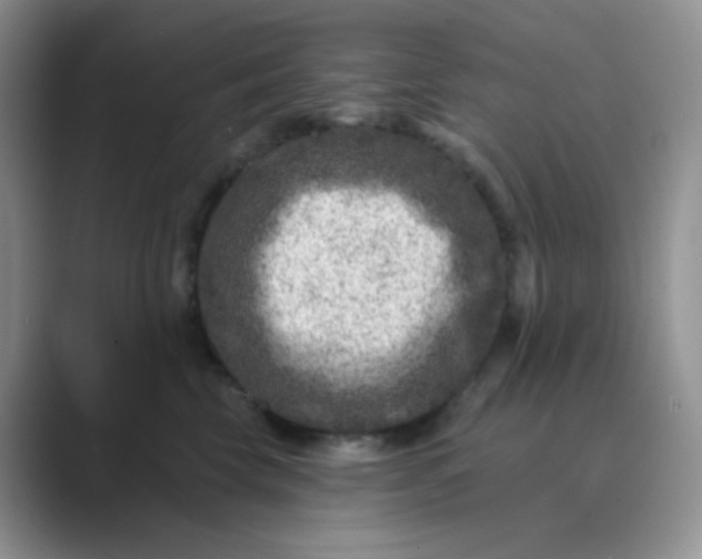 X0000089700569200707051645