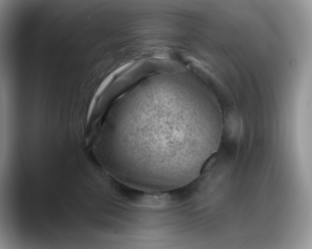 X0000089700571200707051645