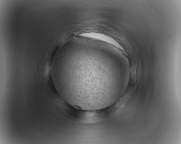 X0000089700574200707051646