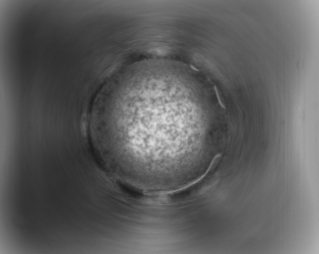 X0000089700576200707051646