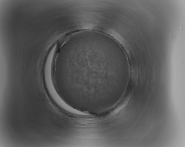 X0000089700577200707051645