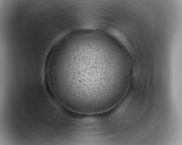 X0000089700578200707051645