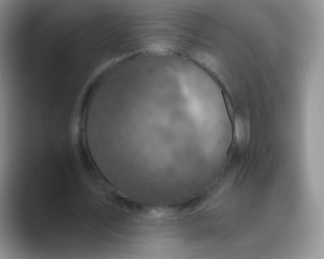 X0000089700579200707051645