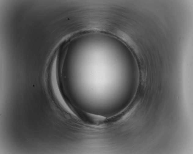 X0000089700580200707051645