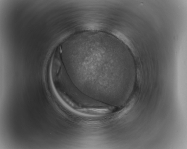 X0000089700581200707051645