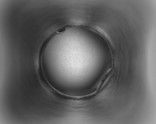 X0000089700582200707051645