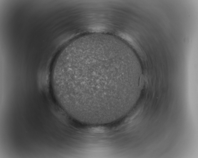 X0000089700583200707051645