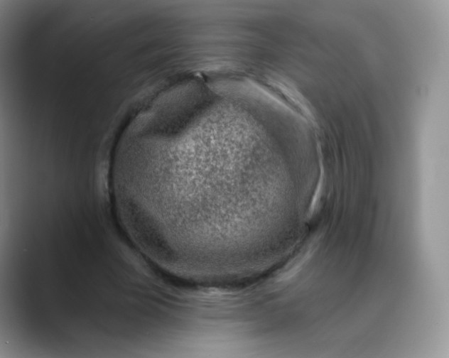 X0000089700585200707051645