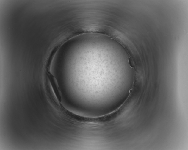 X0000089700586200707051645