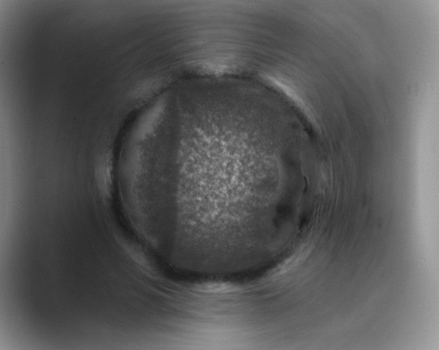 X0000089700590200707051645