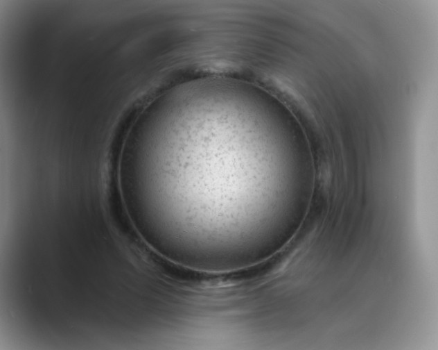 X0000089700591200707051645