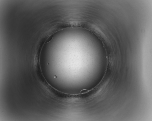 X0000089700593200707051645