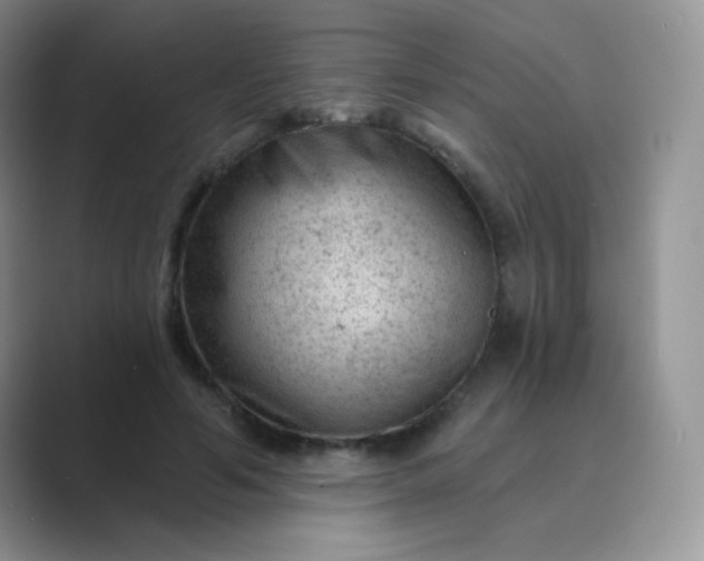 X0000089700594200707051645