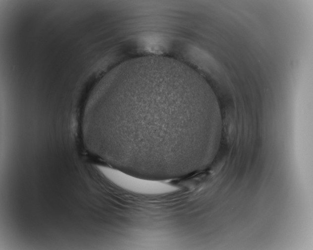 X0000089700595200707051645