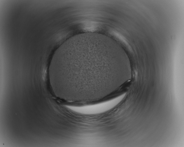 X0000089700596200707051645