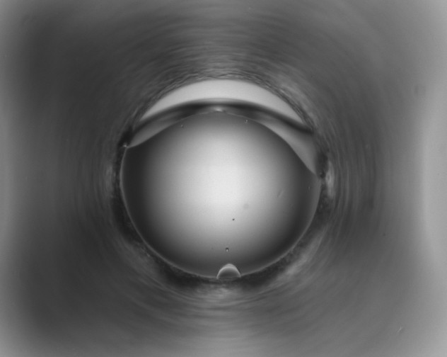 X0000089700597200707051645