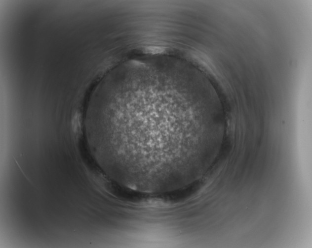 X0000089700598200707051645