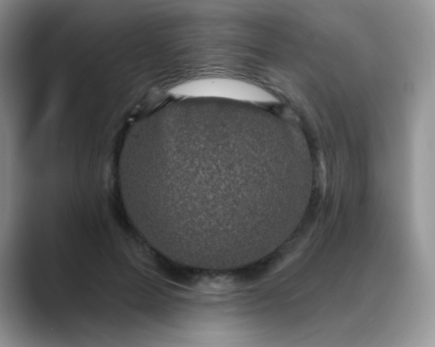 X0000089700599200707051645