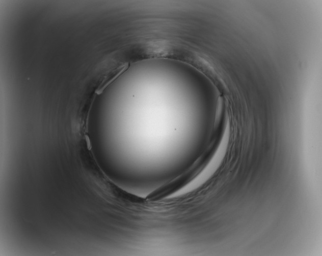 X0000089700601200707051645