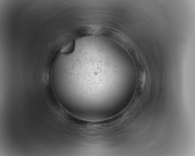 X0000089700602200707051645