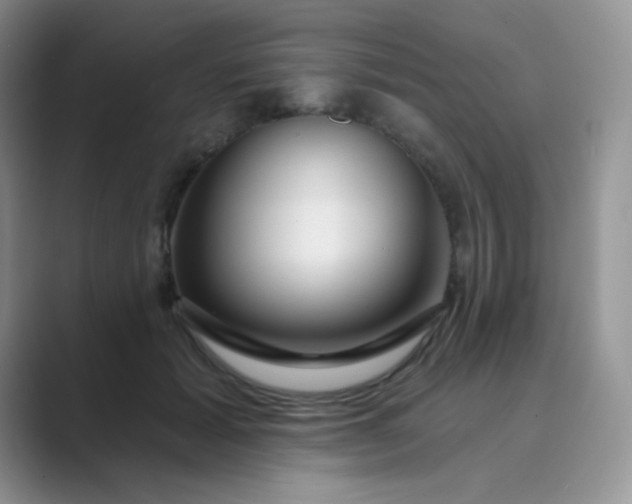 X0000089700605200707051645