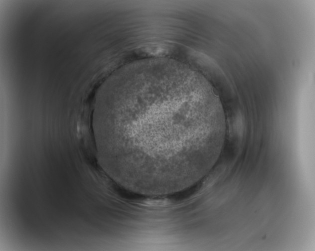 X0000089700606200707051645