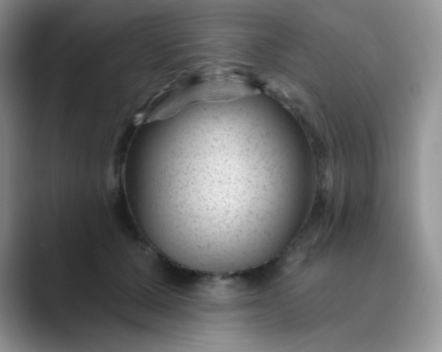 X0000089700607200707051645