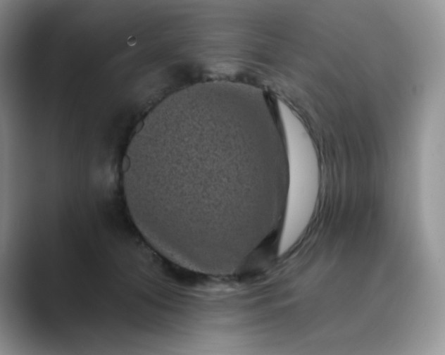 X0000089700608200707051645