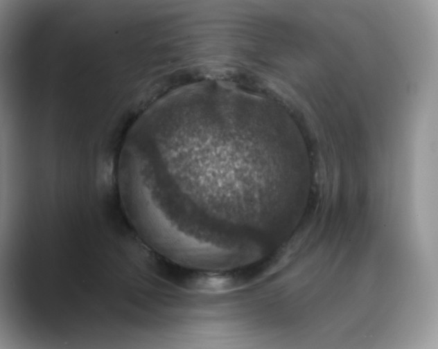 X0000089700610200707051645