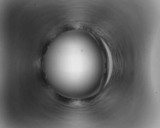 X0000089700611200707051645