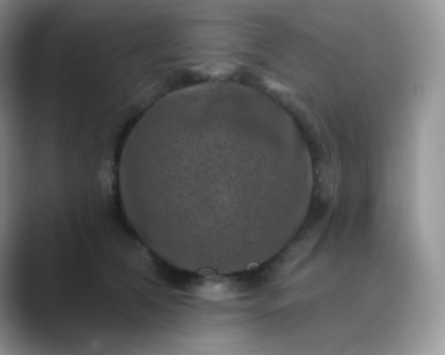 X0000089700612200707051645